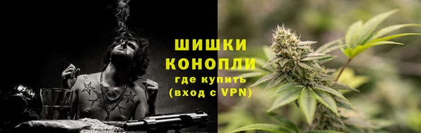 ECSTASY Елизово