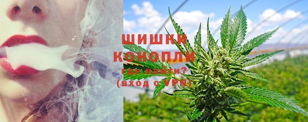 ECSTASY Елизово