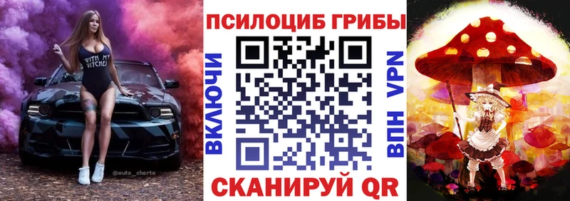 дарнет шоп  Торопец  Галлюциногенные грибы MAGIC MUSHROOMS 